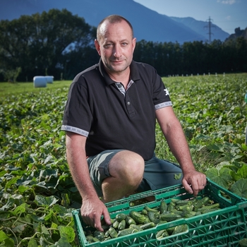 Yves Luisier
